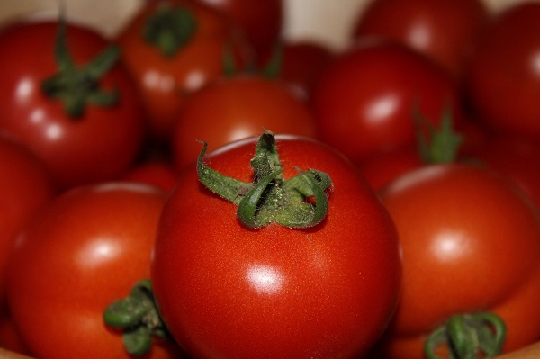 красные помидоры